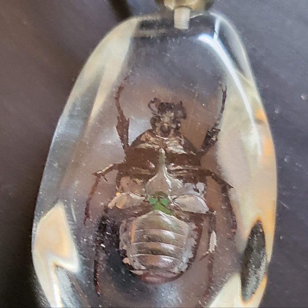 (2 pcs)Real beetle/ spider in resin pendants with 10" adjustable twine..2 pieces